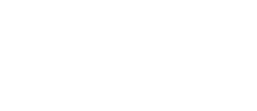 bpmi logo