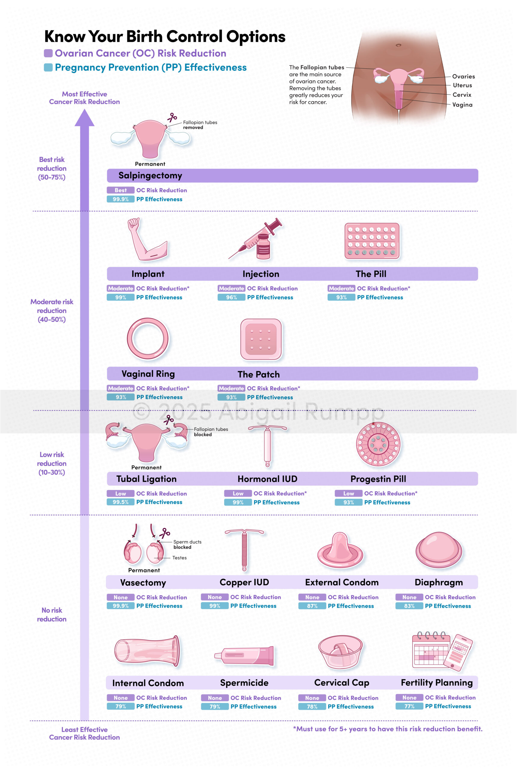 Know Your Birth Control Options (Purple)