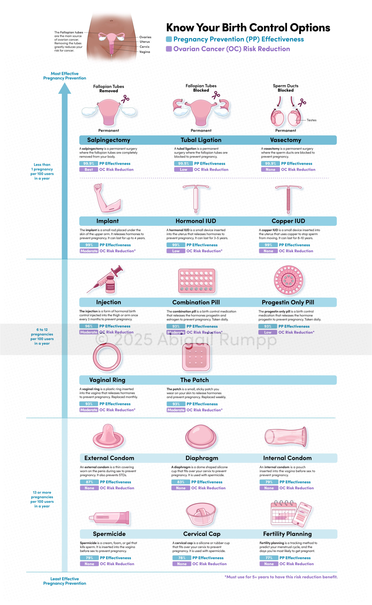Know Your Birth Control Options (Blue, detail)