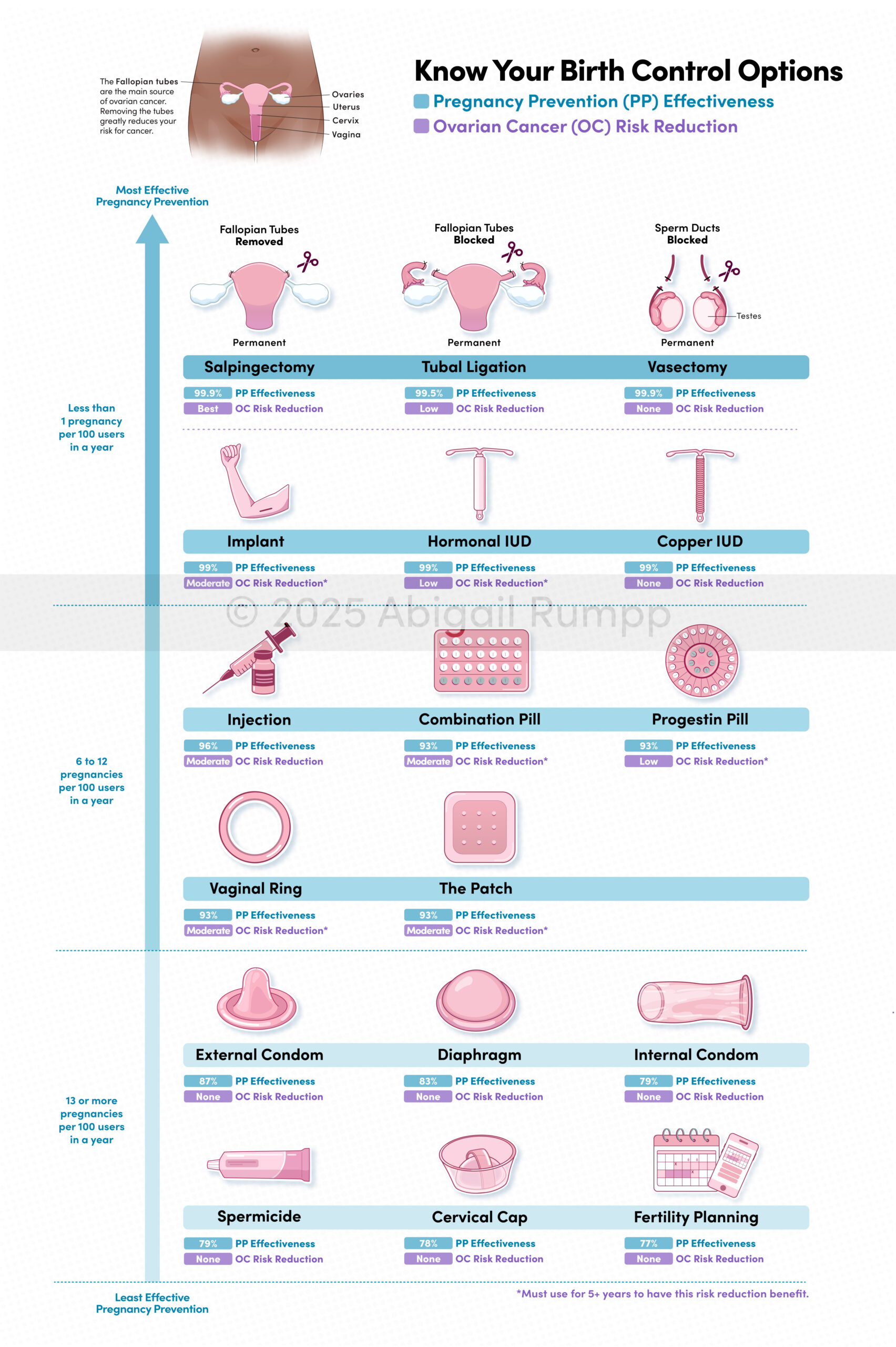 Know Your Birth Control Options (Blue)