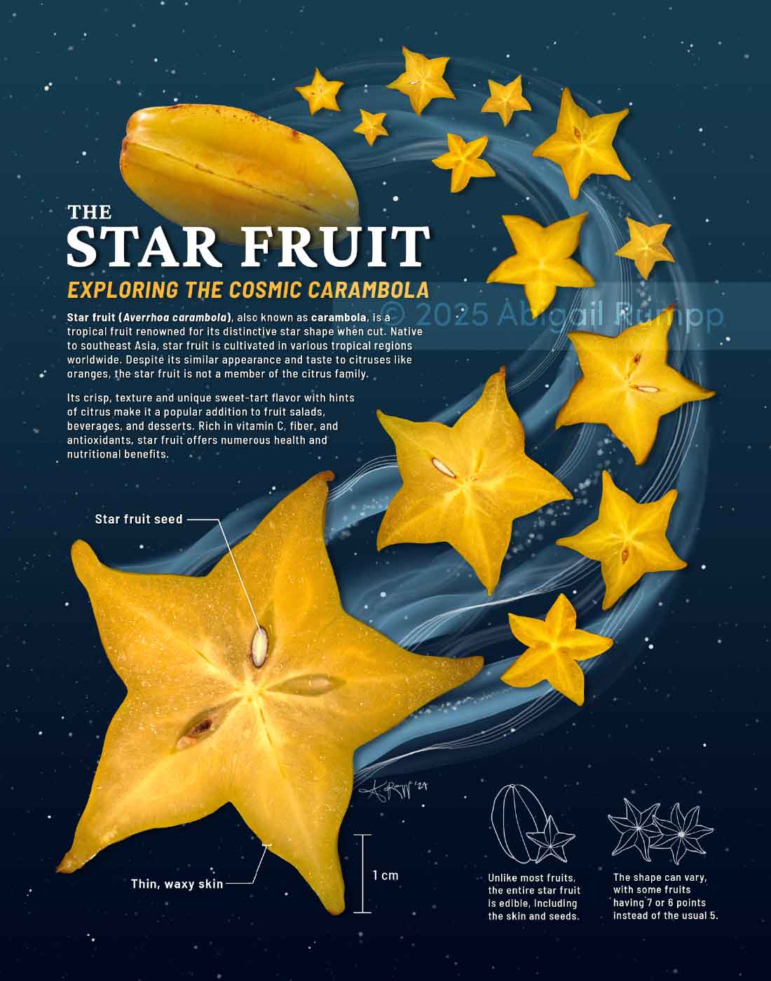 The Star Fruit: Exploring the Cosmic Carambola